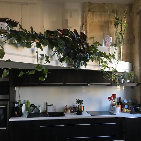 18esiecle Proche Centre Pierre Plantes Boheme Lgbt Apartment