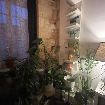 Comme A La Maison 18e Centre Pierre Plantes Boheme Lgbt Lejlighed Bordeaux