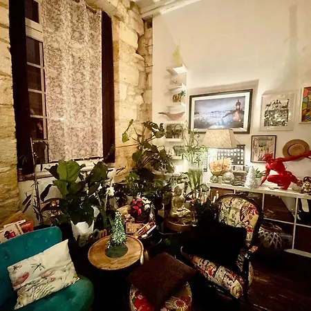 Comme A La Maison 18e Centre Pierre Plantes Boheme Lgbt Apartment